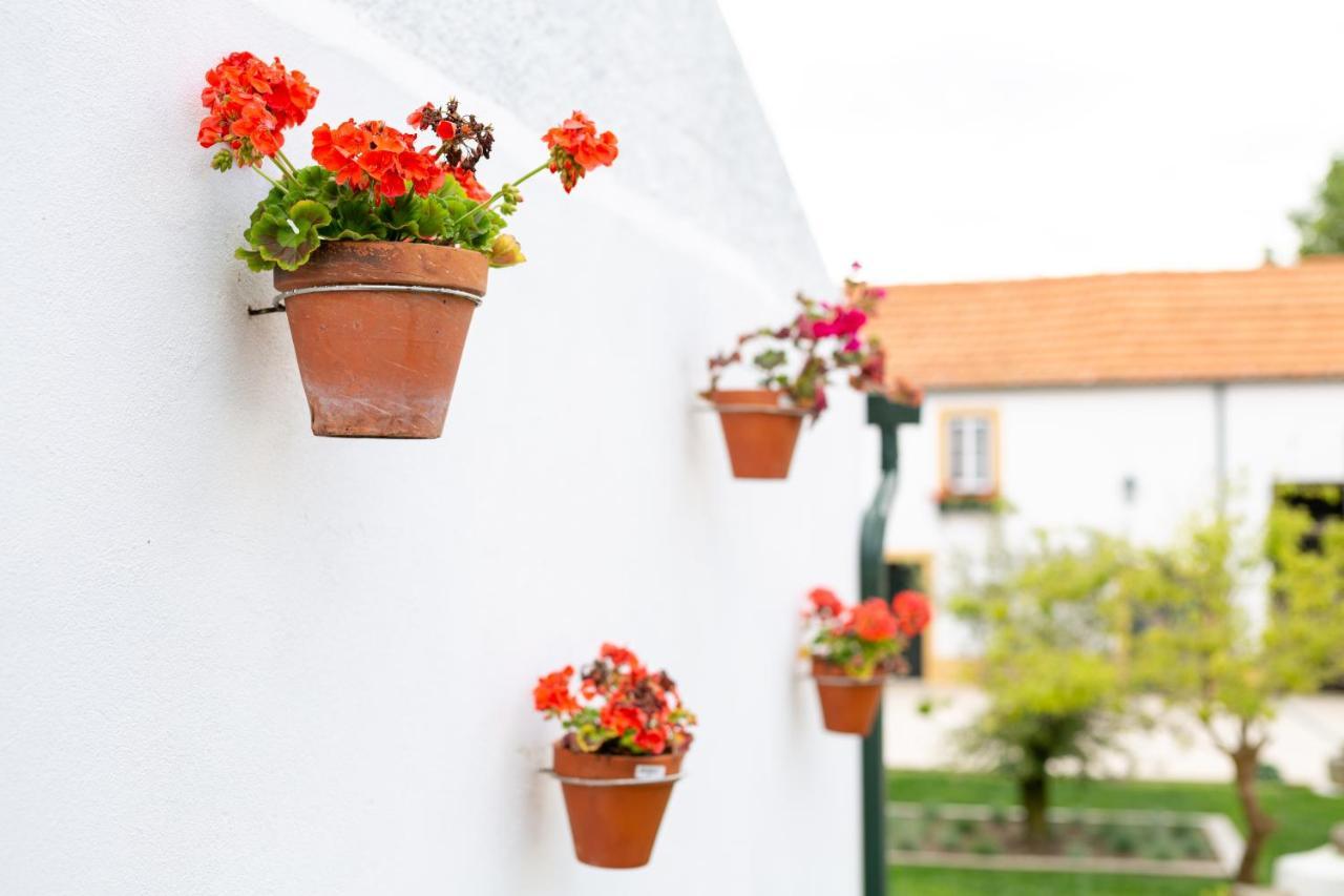 Casa D'Oliveira Bed and Breakfast Αβέιρο Εξωτερικό φωτογραφία